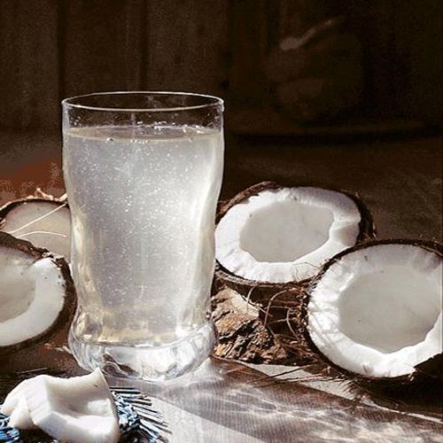 FOCOココナッツジュース520ml【1点】椰子汁 ほどよい甘さとすっきりと