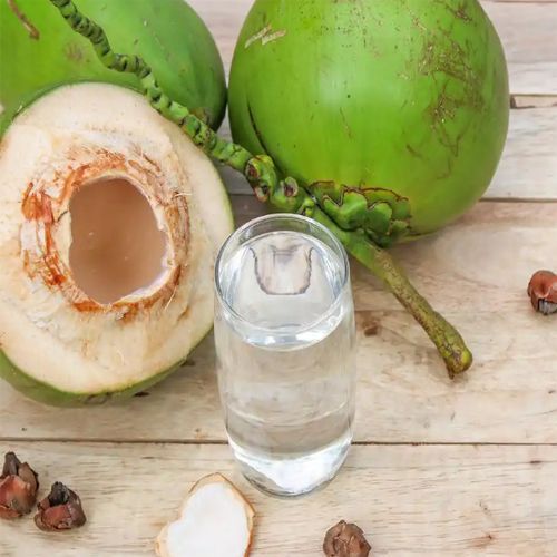 FOCOココナッツジュース520ml【1点】椰子汁 ほどよい甘さとすっきりと