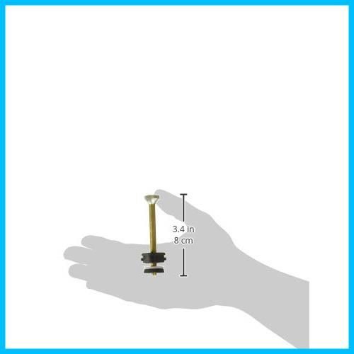 ポンプリペアキット ポンププランジャー一式 ランタン ピーク１等 コールマン 3000005097