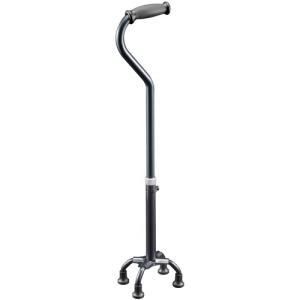 2営業日で発送 田辺プレス テトラ ケイン αミディ 青墨 S