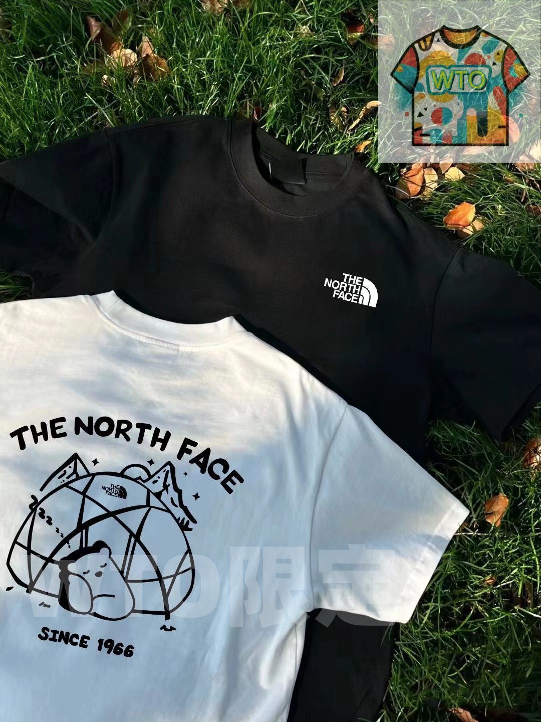 前後ロゴのクマとキャンプアルファベット