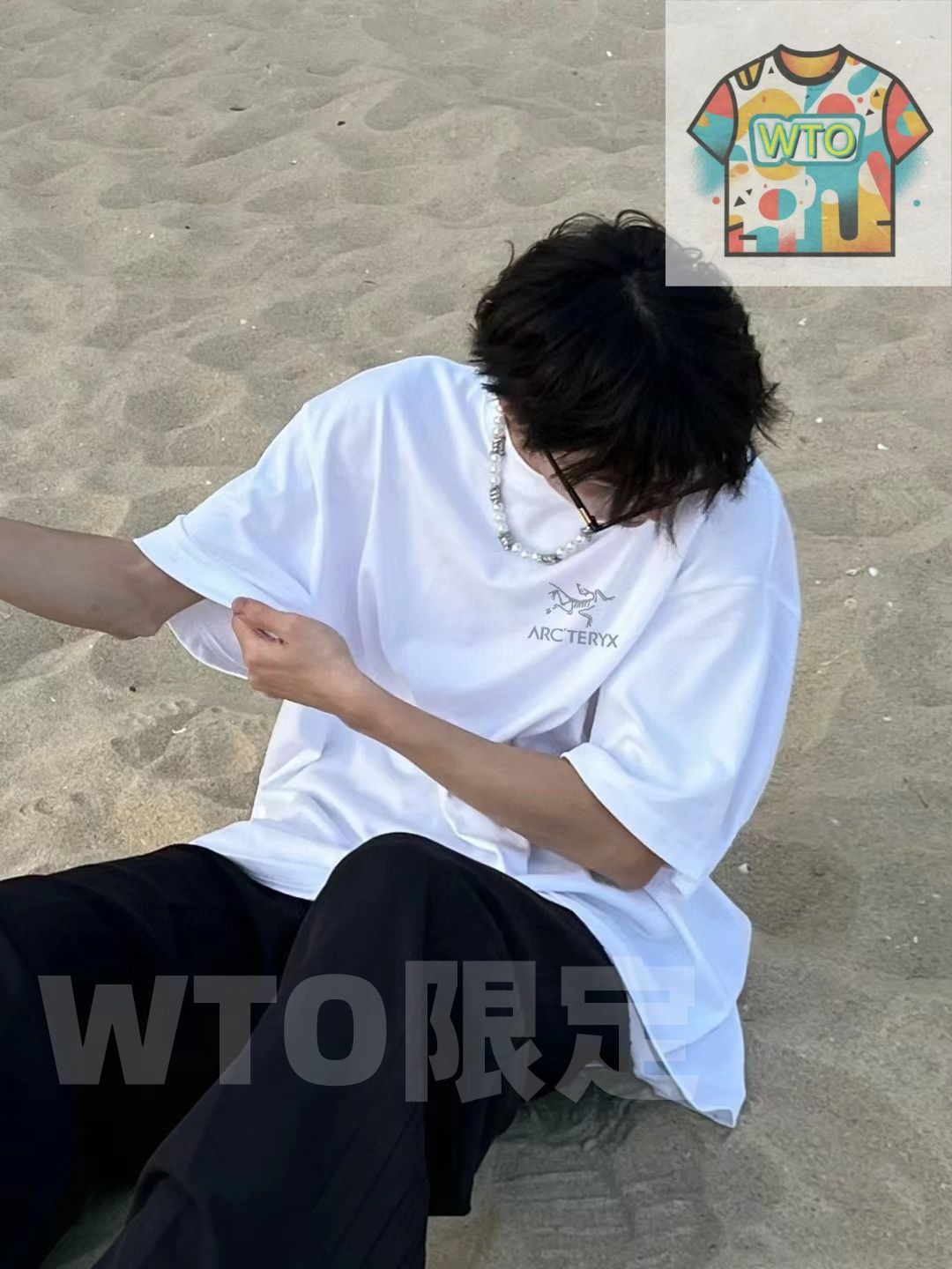 ARC TERYX アークタリクス 最新モデル リフレクティブアルファベット小ロゴ 男女兼用カップル向けショートスリーブ T シャツ WTO輸入1