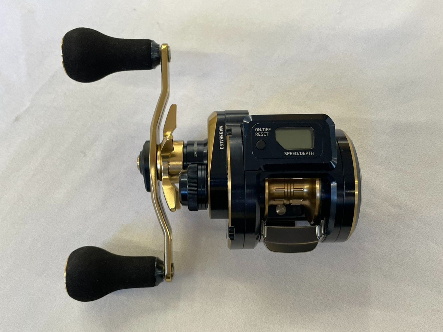 １００ＰＬ ＤＨ