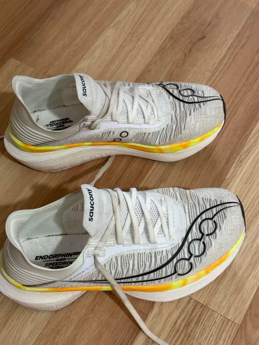 エンドルフィン エリート2