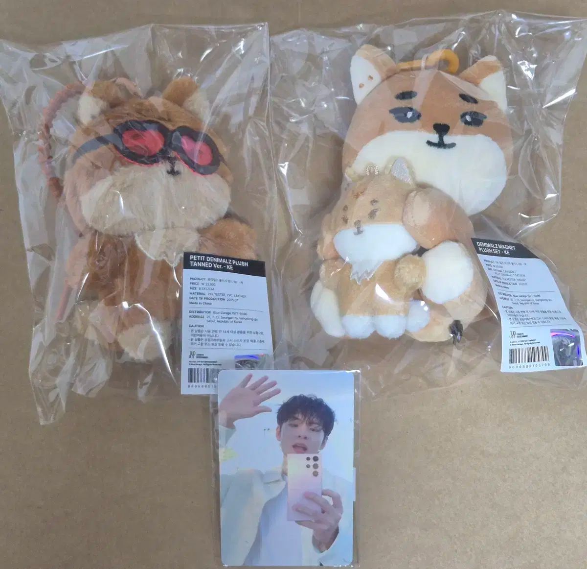 DAY6 デイシックス タニングケース マグネットケース AAKE まとめ