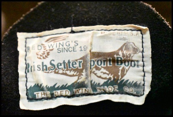 アイリッシュセッター 黒