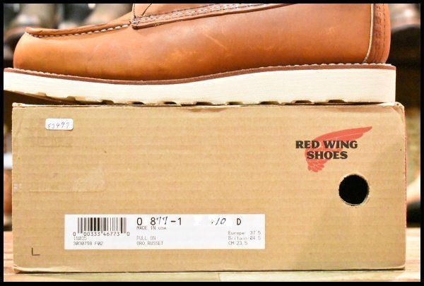 アイリッシュセッター オロレガシー