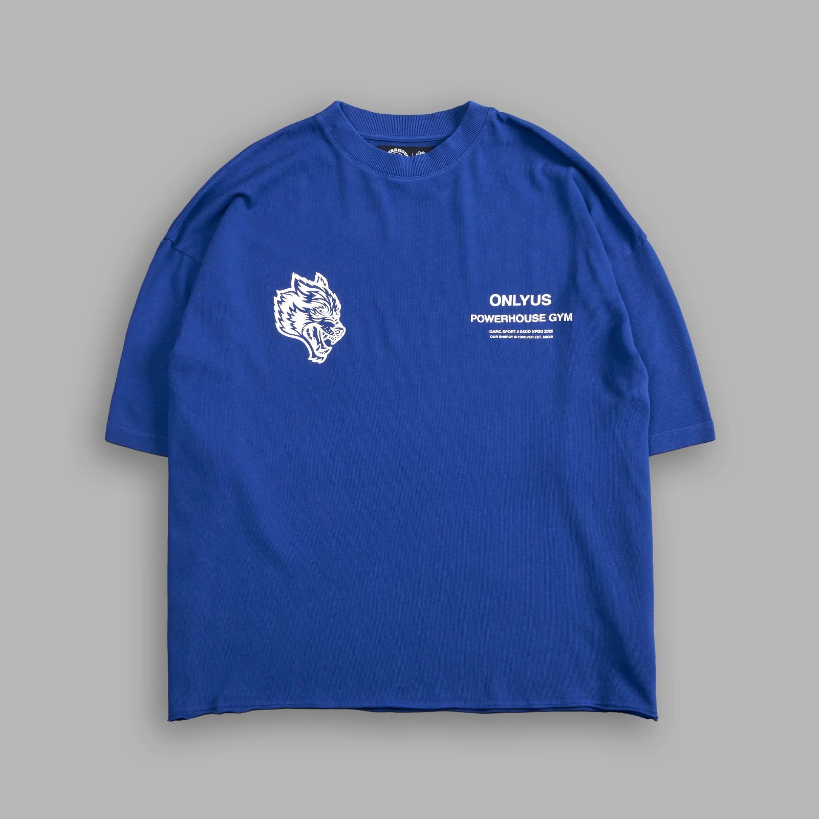 Darc Sport POWERHOUSE SSDD NFGU Only Us Gym Premium Raw Hem Box Cut Tee Cobalt ダルクスポーツ パワーハウスジム オンリーアズ ボックスカットTシャツ ブルー コバルト 青