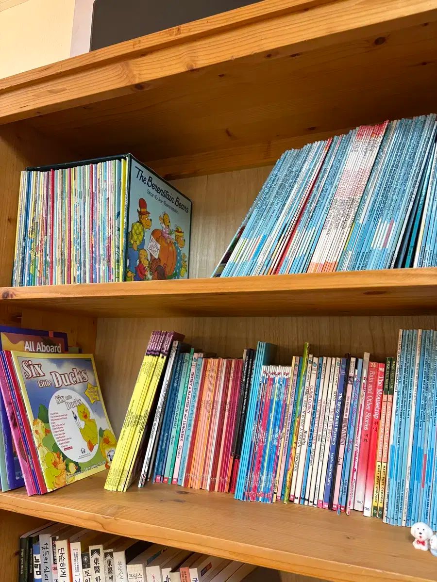 パク ヒョンヨン先生 図書 ハン 双子BOOK