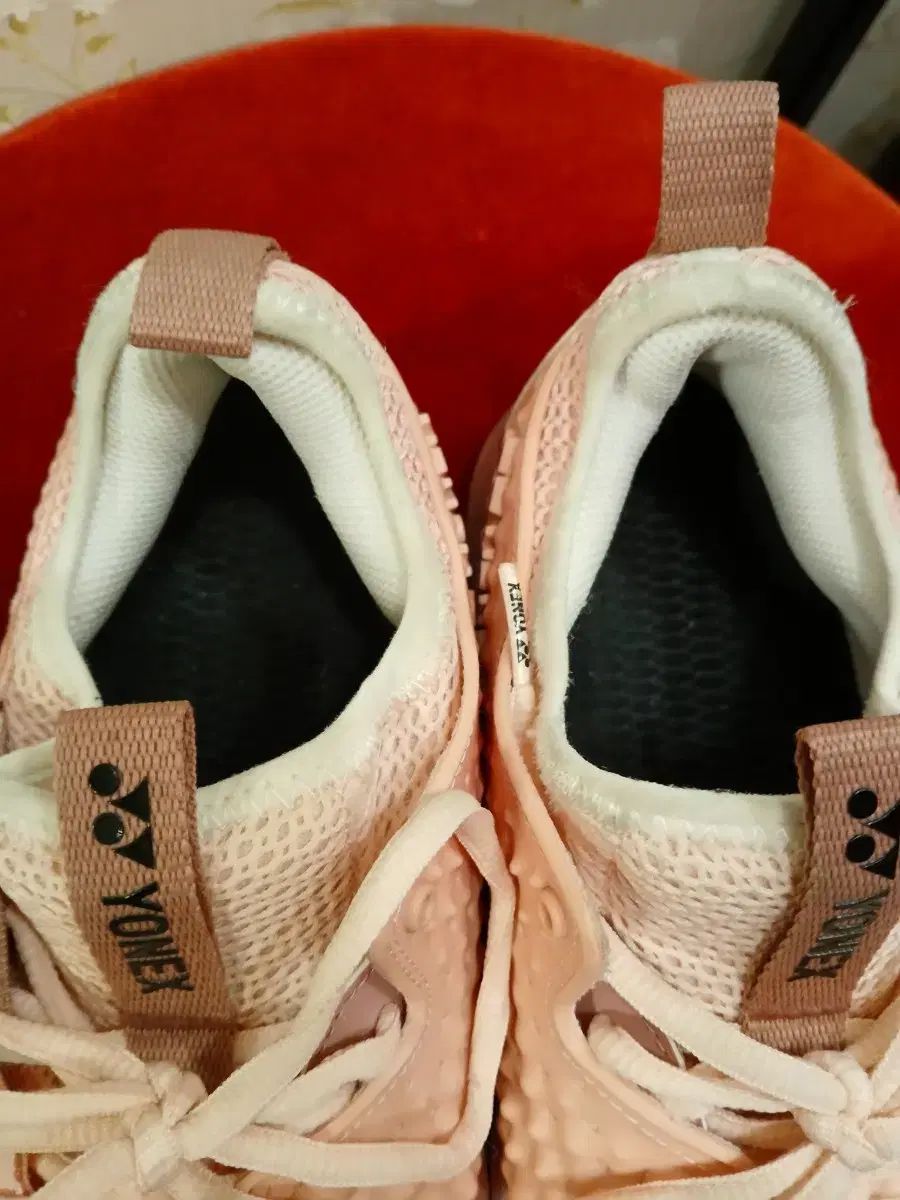 バドミントンシューズ 250