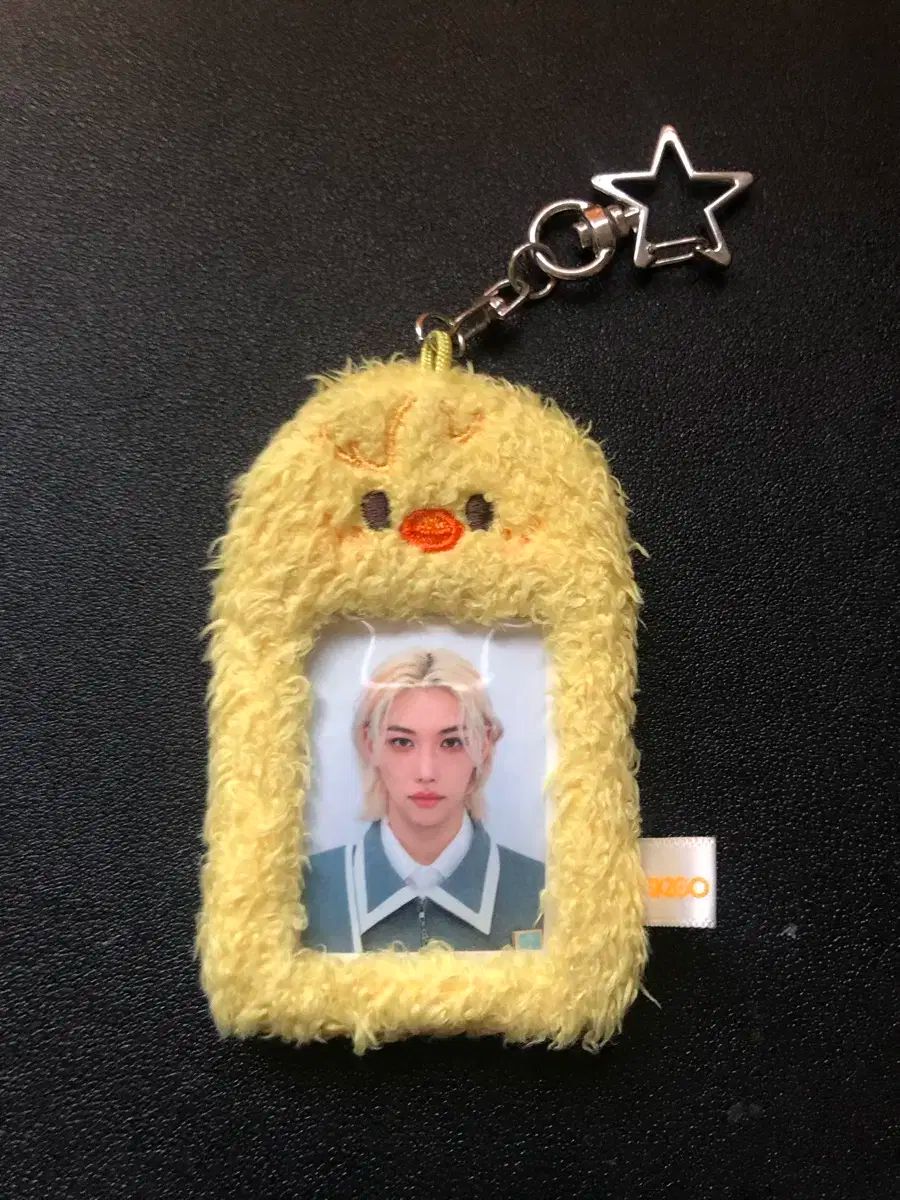 FELIX ぬいぐるみ フィリックス 写真 フォト PHOTO ホルダー ID SKZOO