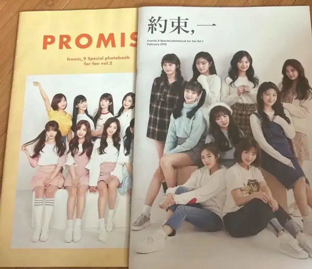 fromis_9 プロミスナイン 約束会特典冊子 fromis_9 プロミスナイン 約束会特典冊子