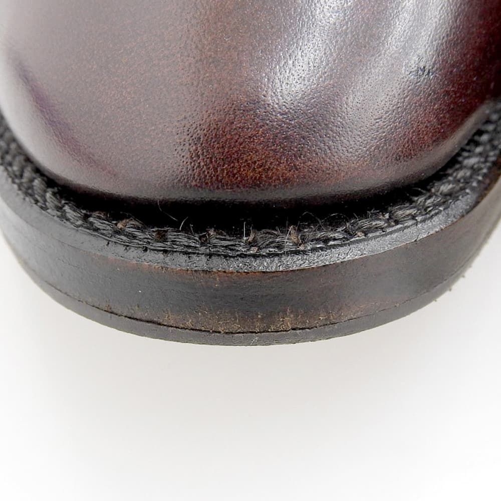 サンヨウヤマチョウ 鹿三郎