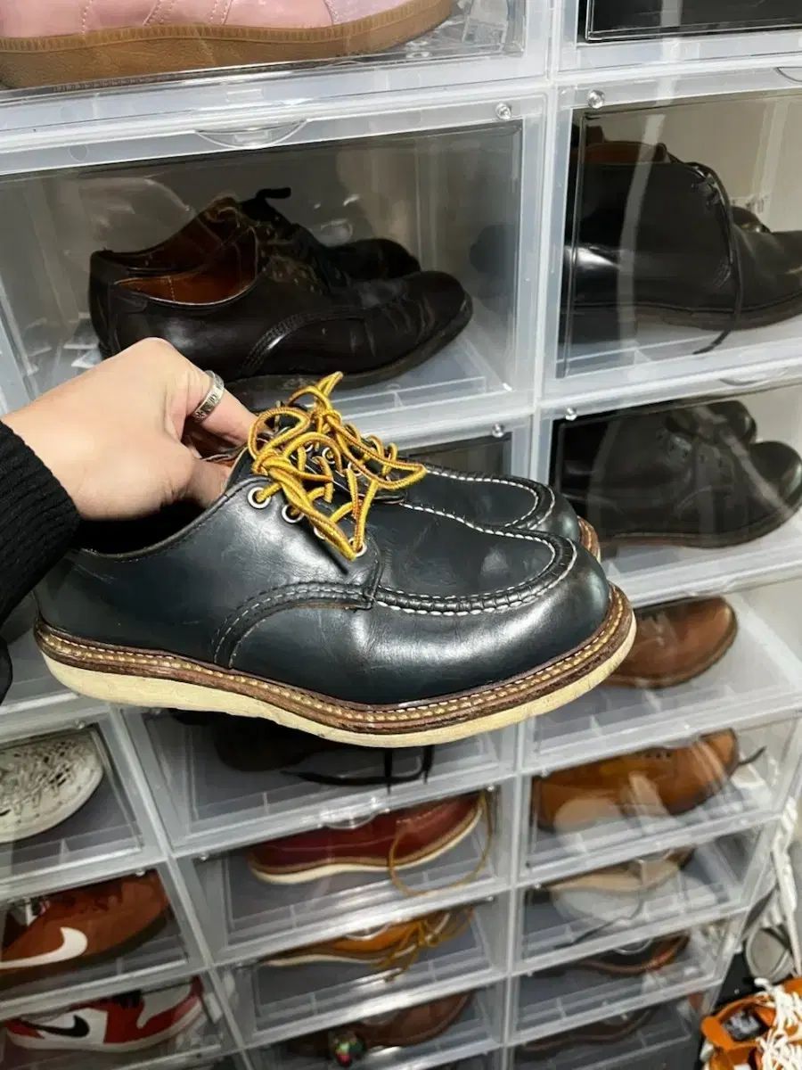 レッドウィング モックトゥ ロー ネイビー 7 5D