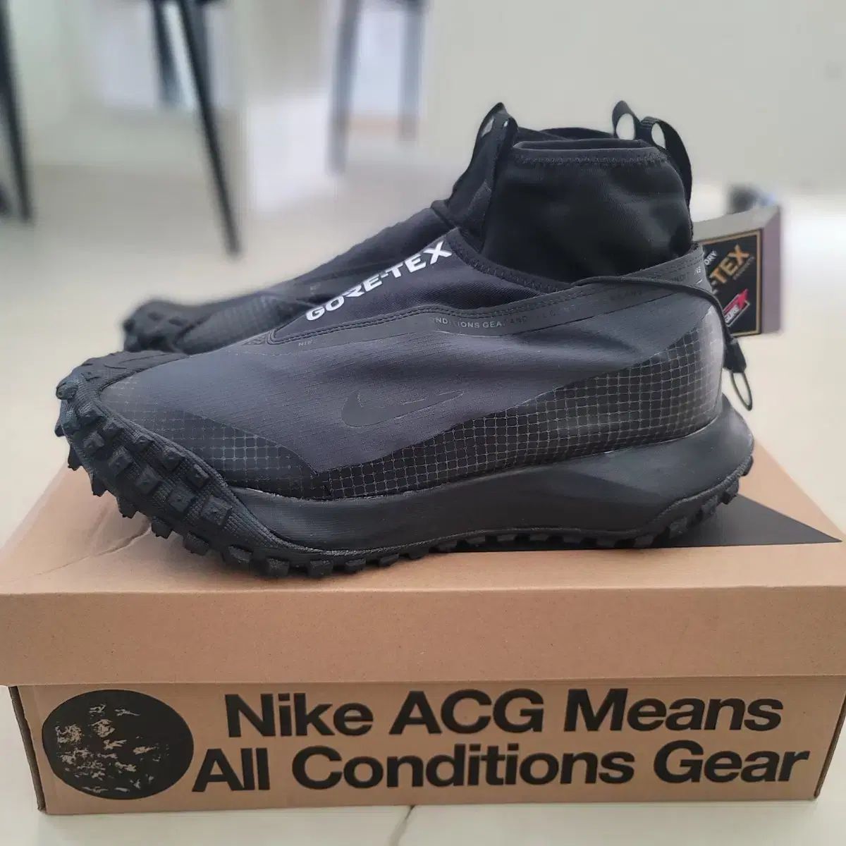 ナイキ ACG マウンテン フライ ゴアテックス 265