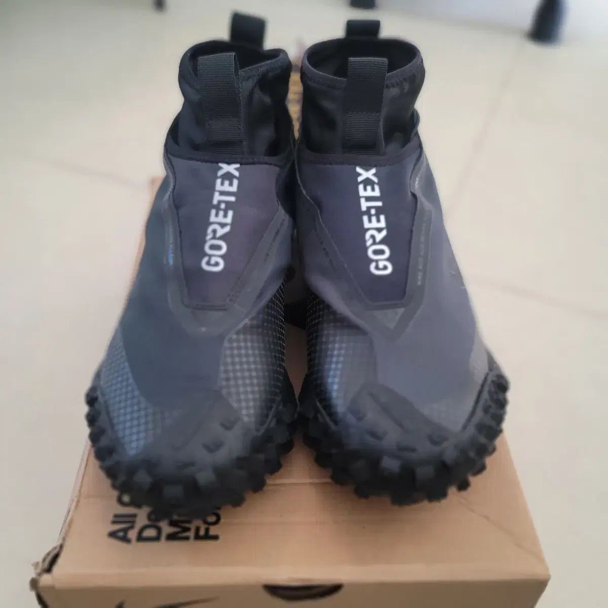 ナイキ ACG マウンテン フライ ゴアテックス 265