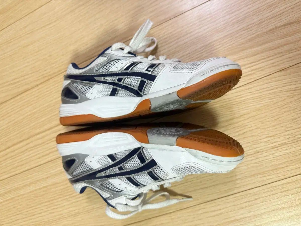  アシックス フレンチテリー リーブレ FL 5 ネイビー 225 バドミントンシューズ テニスシューズ フェンシングシューズ シューズ(男性用) テニス