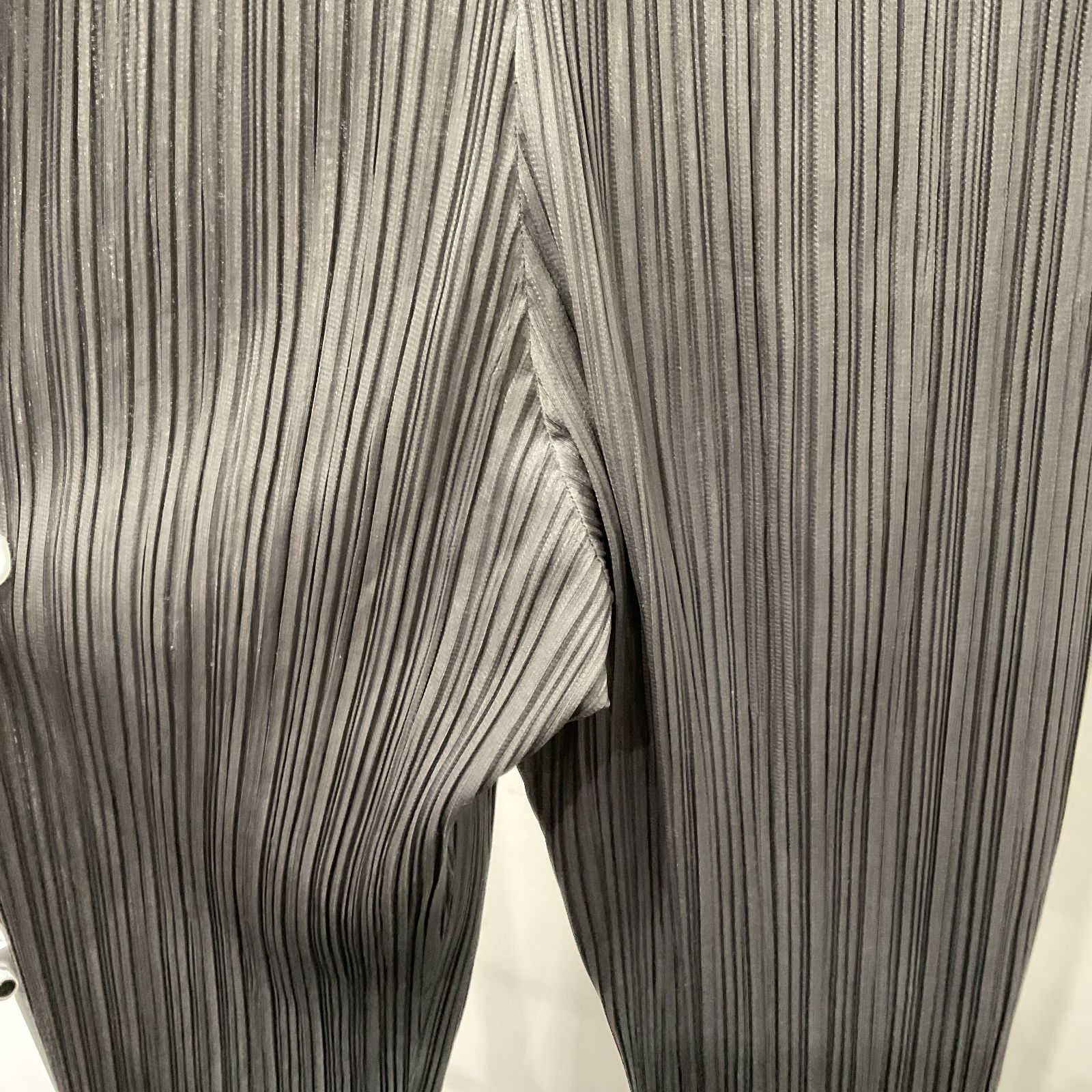  ISSEY MIYAKE イッセイミヤケ プリーツプリーズ パンツ その他 パンツ