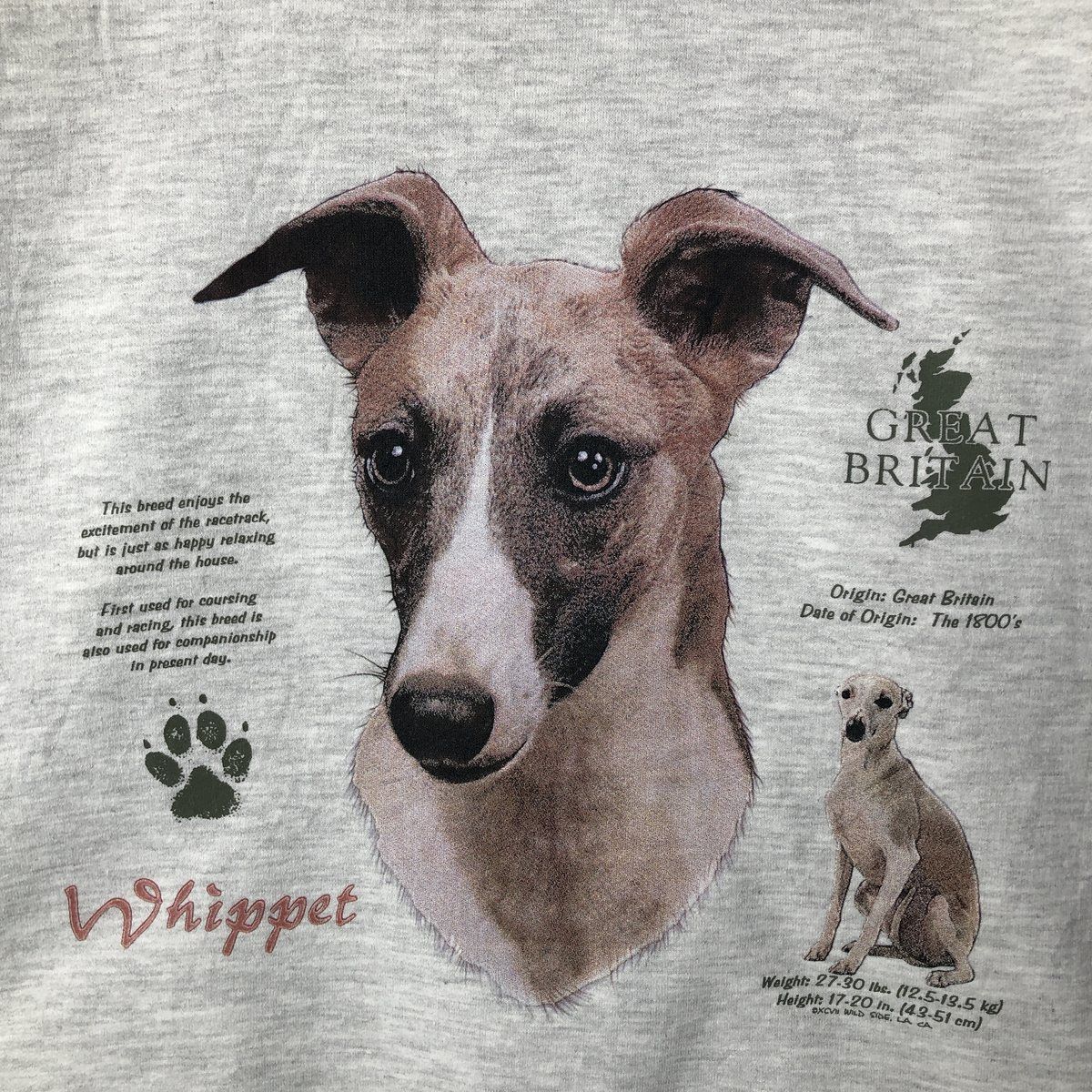 古着 90年代 ジャージーズ Jerzees WHIPPET ウィペット 犬柄 アニマル