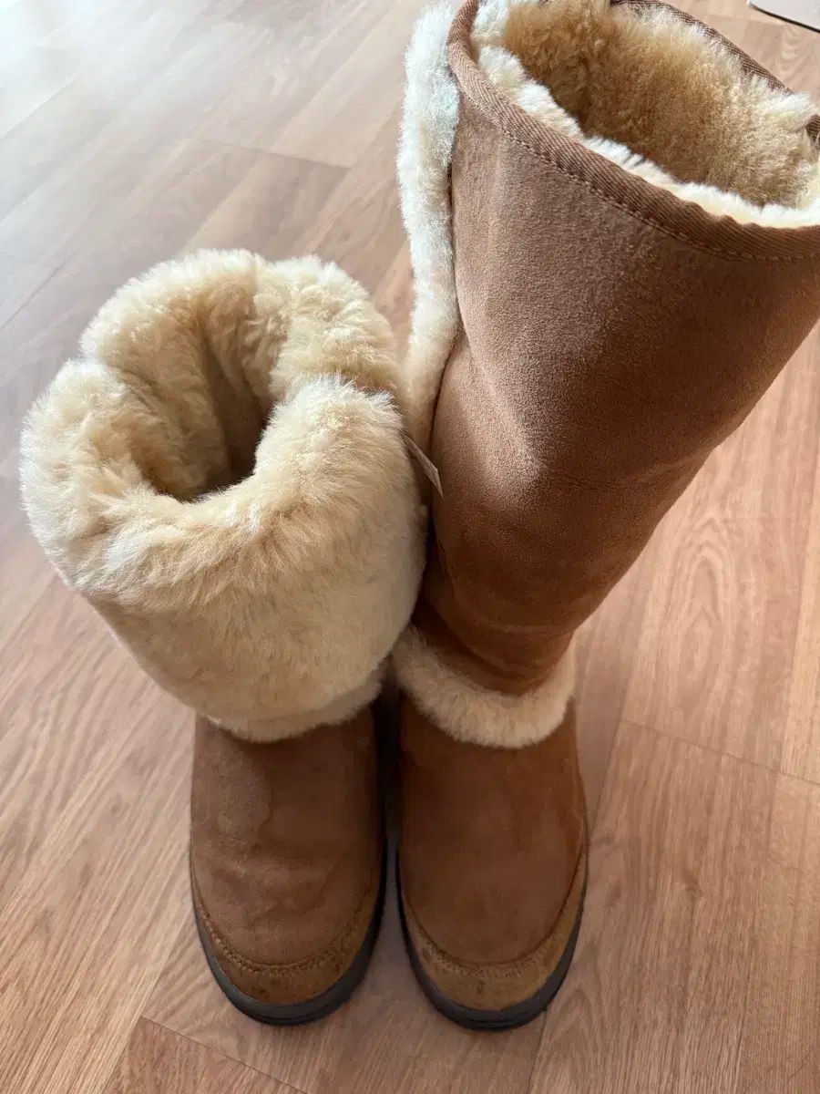 チェスナット 235