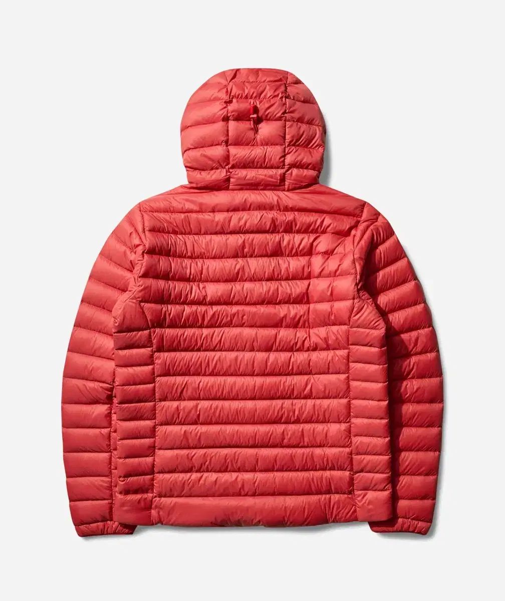 パタゴニア ダウンセーター フーディ