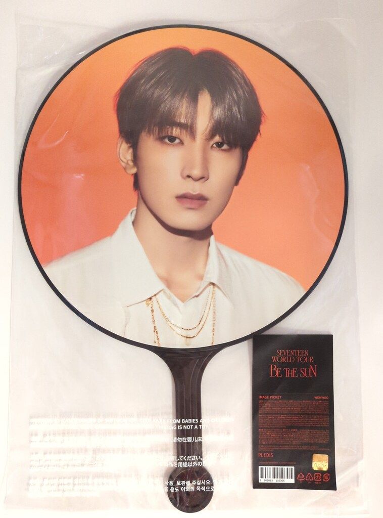 SEVENTEEN 2025 BE THE SUN WONWOO IMAGE PICKET