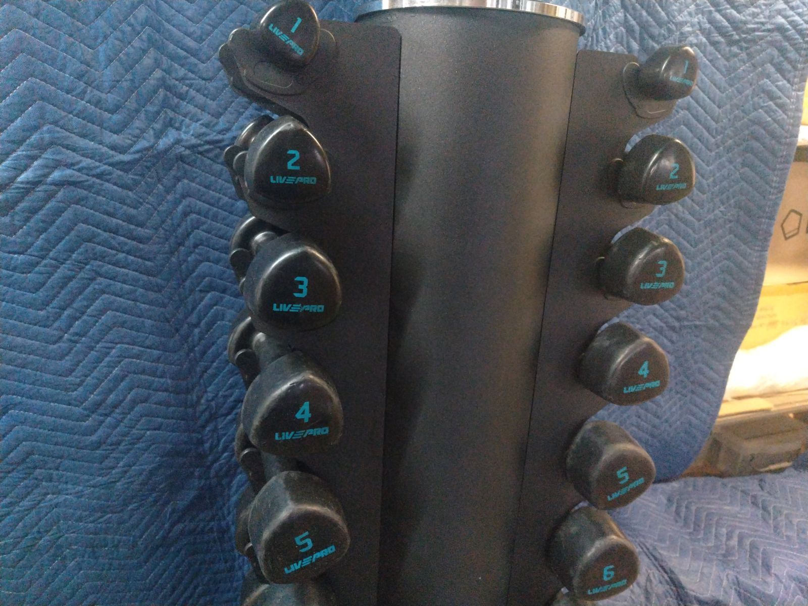 お持ち帰り LIVEPROダンベルセット1～10 kg 各 ラック付き