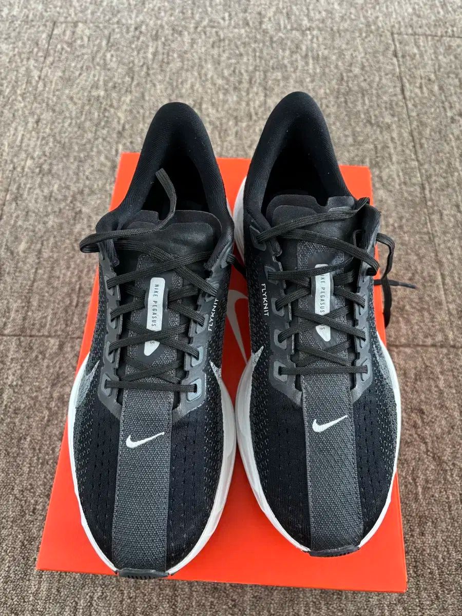 ナイキ ペガサス PLUS ブラック 270mm