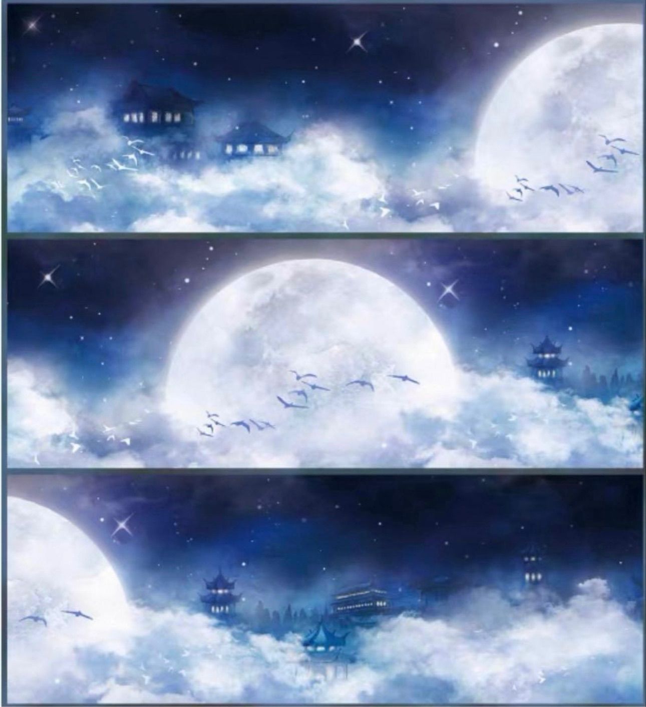 PET 月桂蟾宫 6.5cm×5m 35cm/loop 海外マスキングテープ - メルカリ