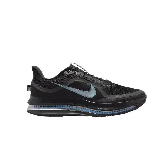 ナイキ ペガサス ブラック メタリックシルバー 275