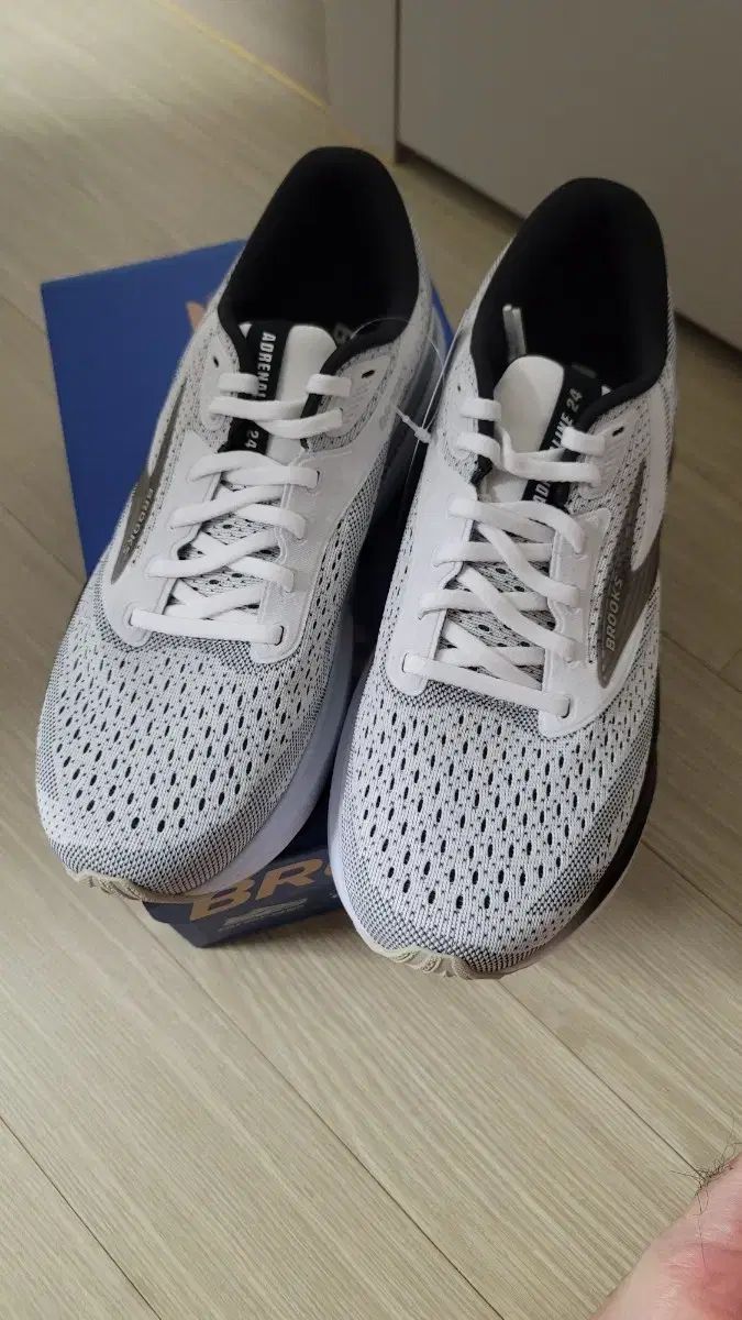 BROOKS ブルックス ランニングシューズ Adrenaline GTS 24 メンズ 260 290