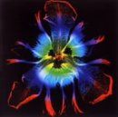 DICTATORS CIRCUS-奇術的旋律- 通常盤