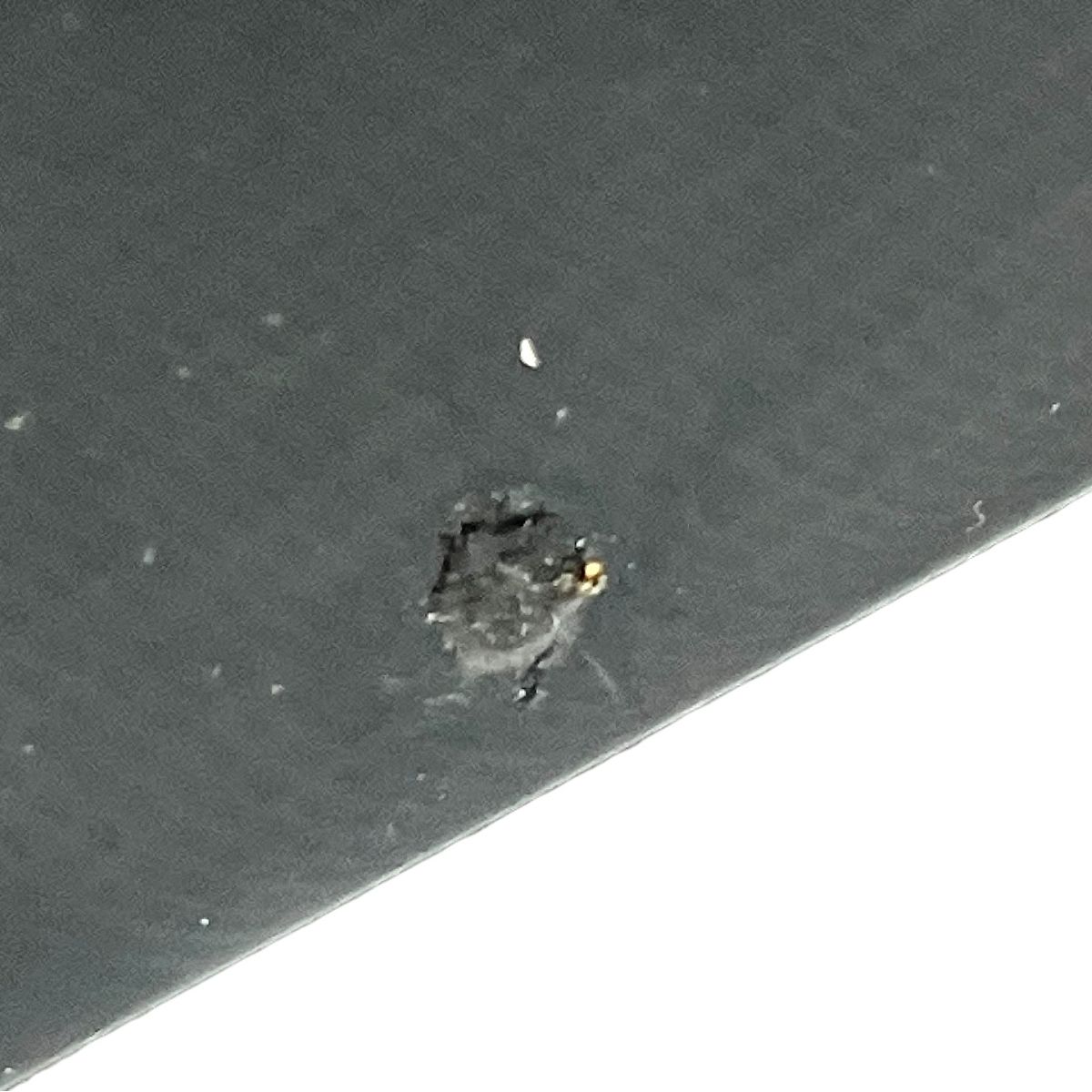 音響機器 オーディオ