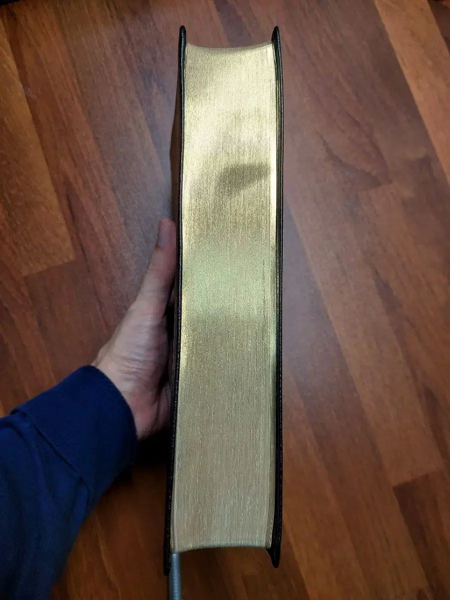 キングジェームス 欽定訳 ハン HAN 英聖書