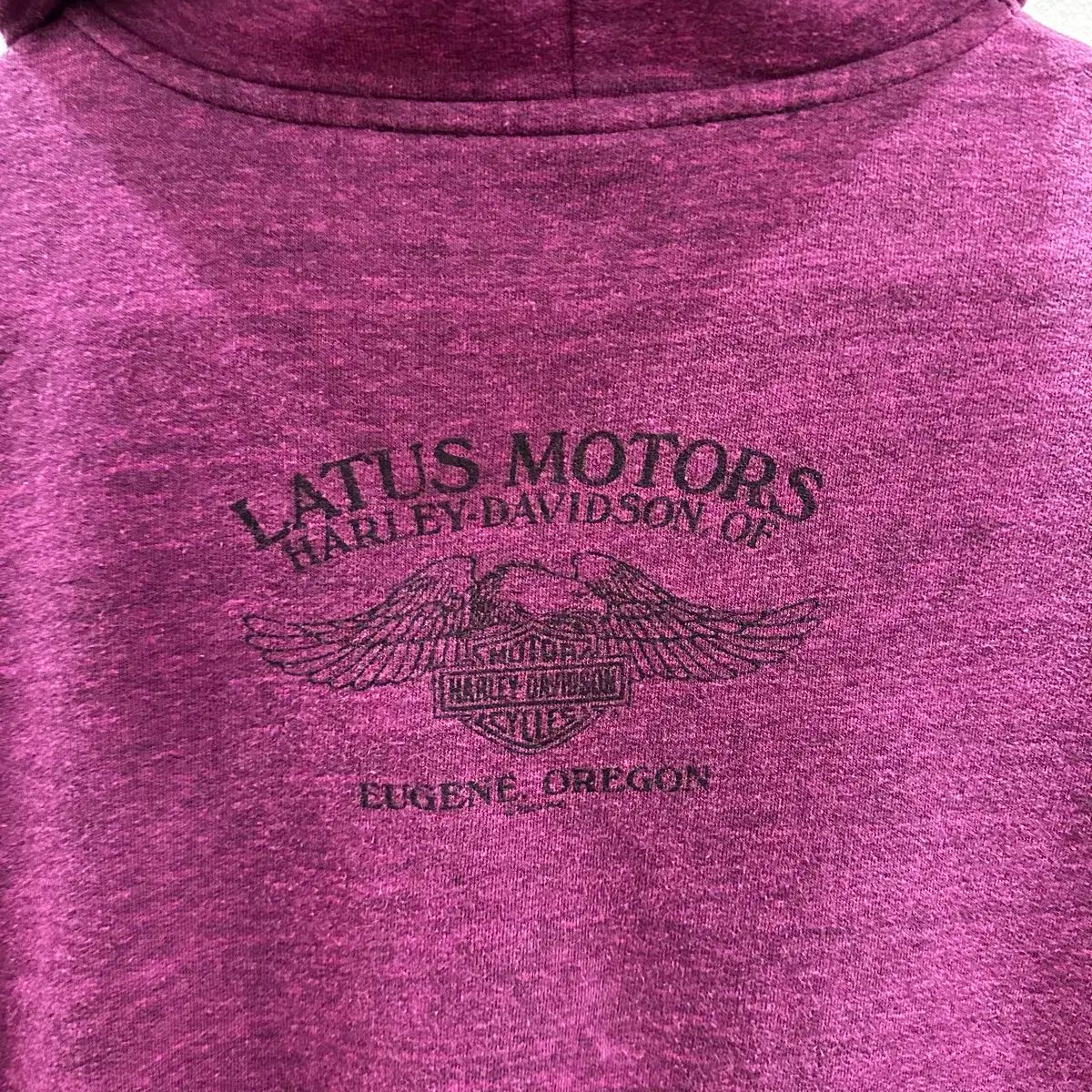 ウィング グラフィック