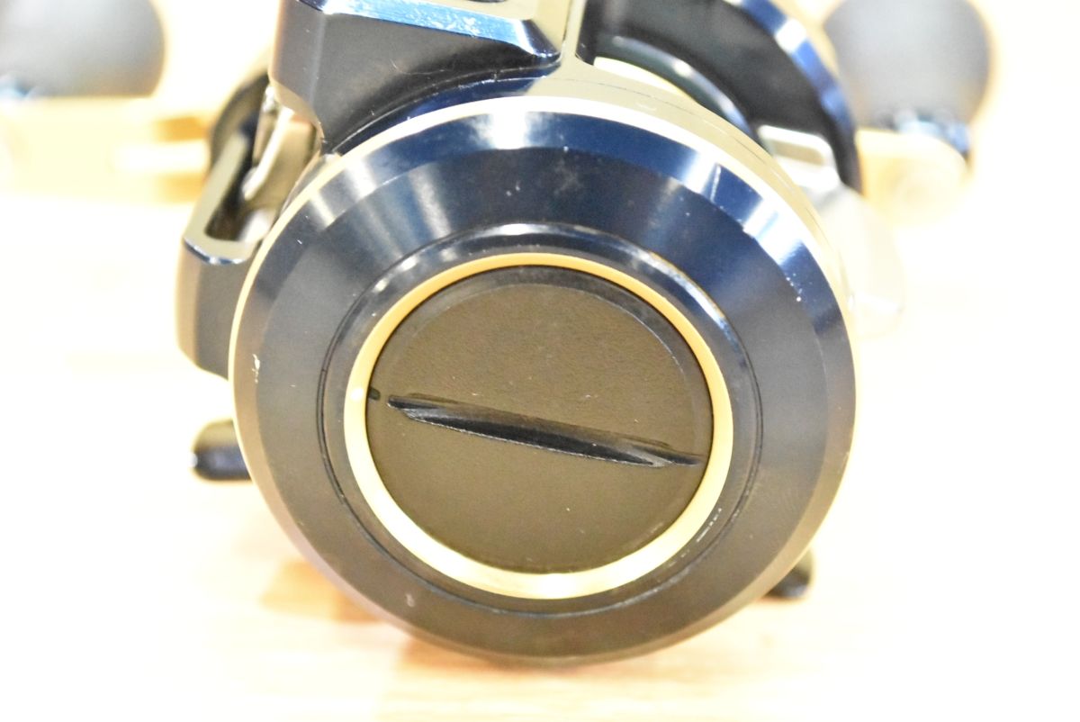 ダイワ 21 ソルティガ IC 100P-DH 右 DAIWA SALTIGA ベイトリール カウンターリール オフショア 船釣り OLIVEOS_COM_TR