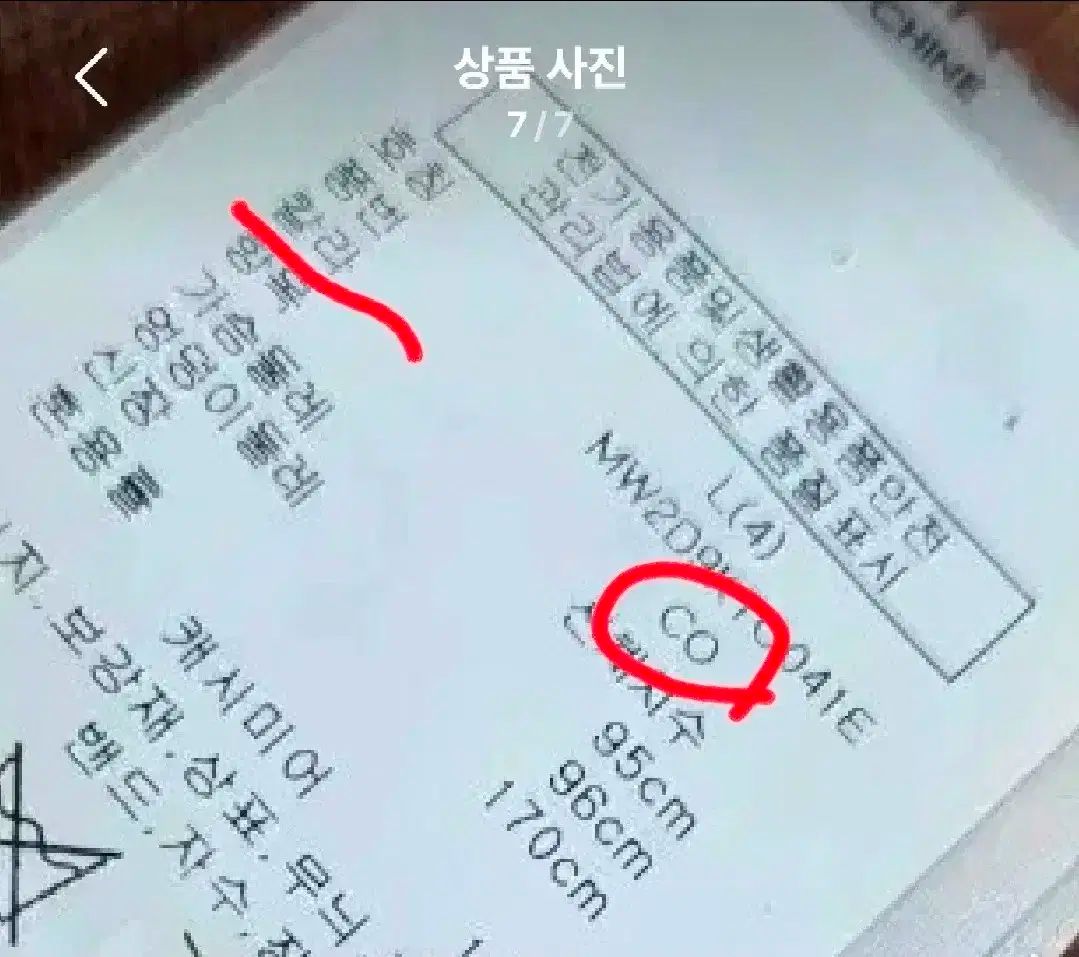 レディースニット