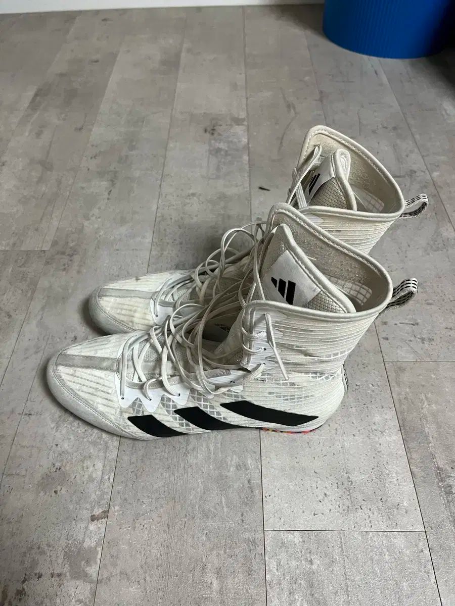  アディダス ボクシング シューズ ボクサー ホグ4 その他 ボクシング