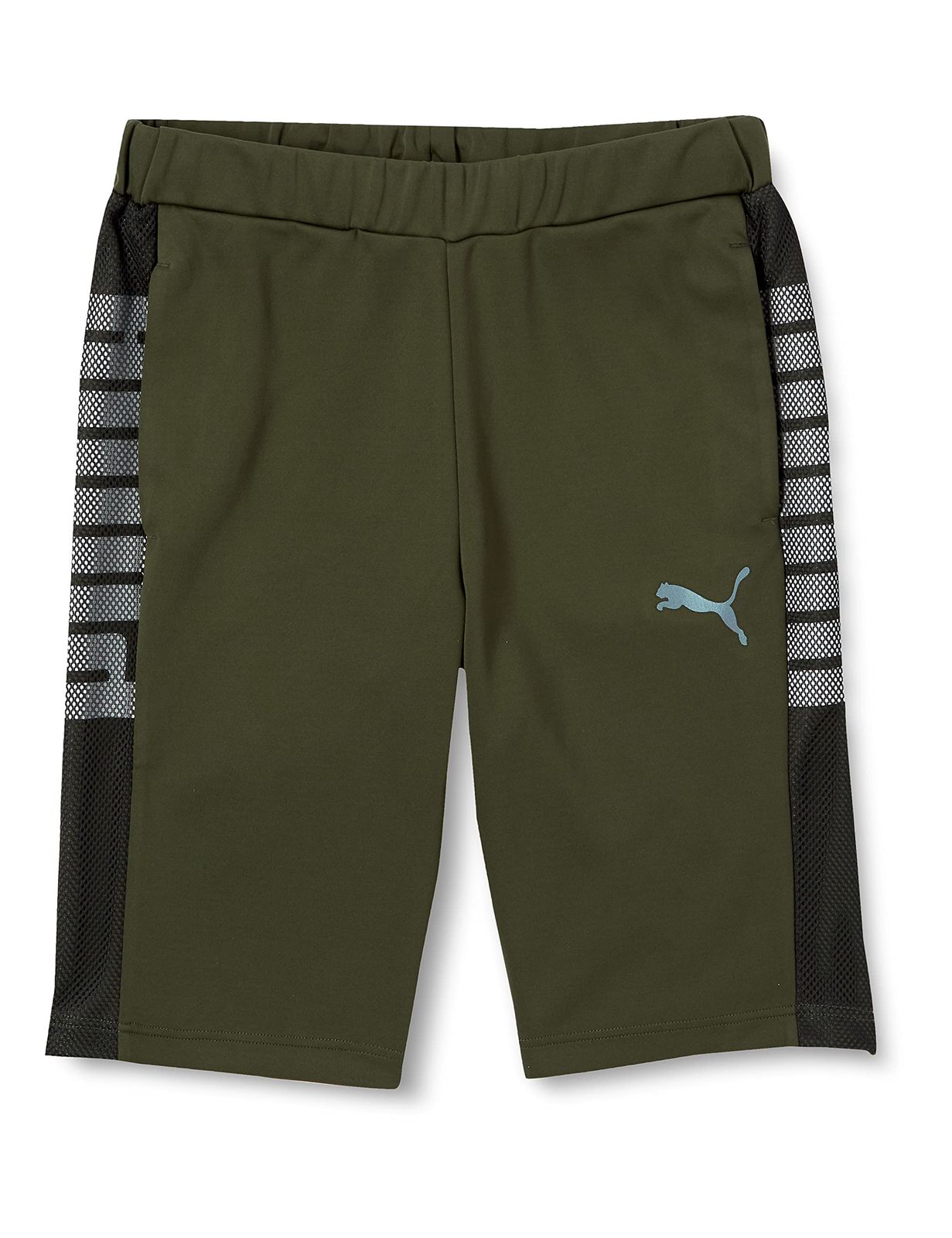 プーマ 吸水速乾 ハーフパンツ ジャージ 656357 メンズ 22年秋冬 フォレスト ナイト 03 XL 22年秋冬 フォレスト ナイト 03 XL