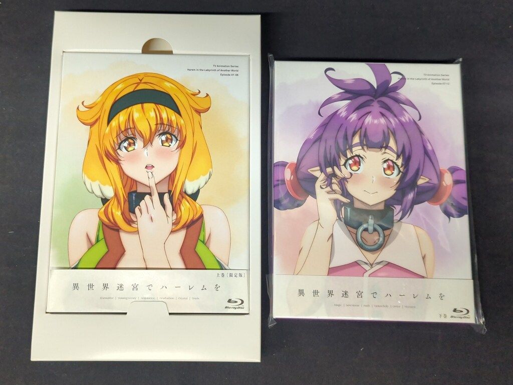 アニメBlu-ray 通常版 異世界迷宮でハーレムを Blu-ray BOX 全2BOX セット