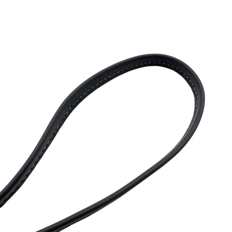 アルドワーズ アニョーミロ