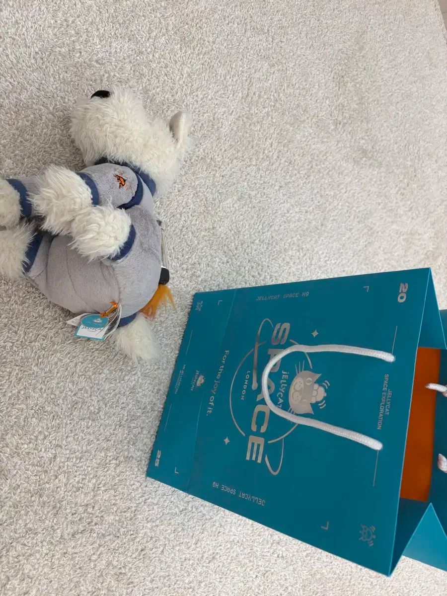 ジェリーキャット 子犬