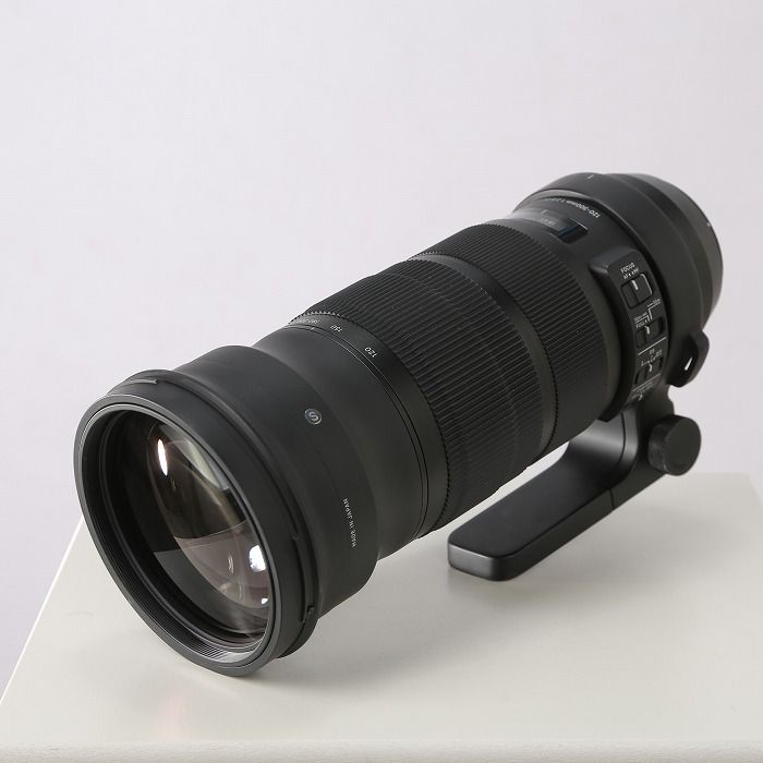 シグマ SIGMA 120-300 F 2.8 DG OS HSM EO