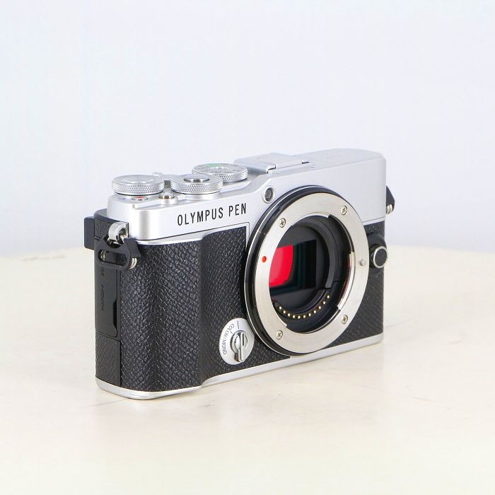 ボデイ シルバー