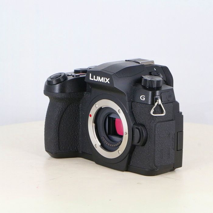 パナソニック Panasonic DC-G99M2 II ボディ