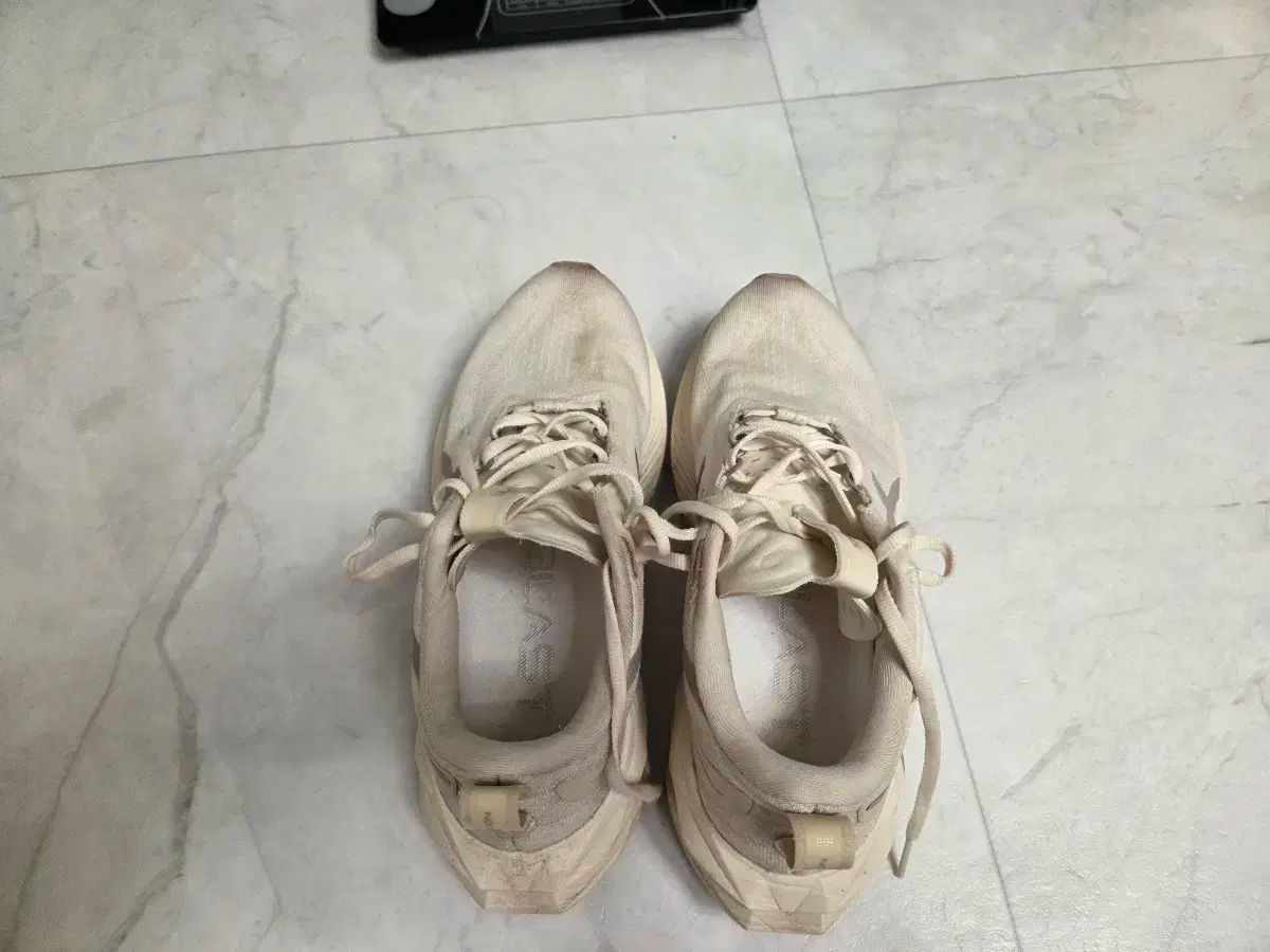 アシックス ノヴァブラスト4 LT 260