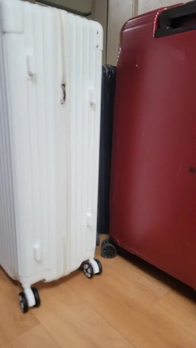 アメリカンツアーリス 外 3点合計