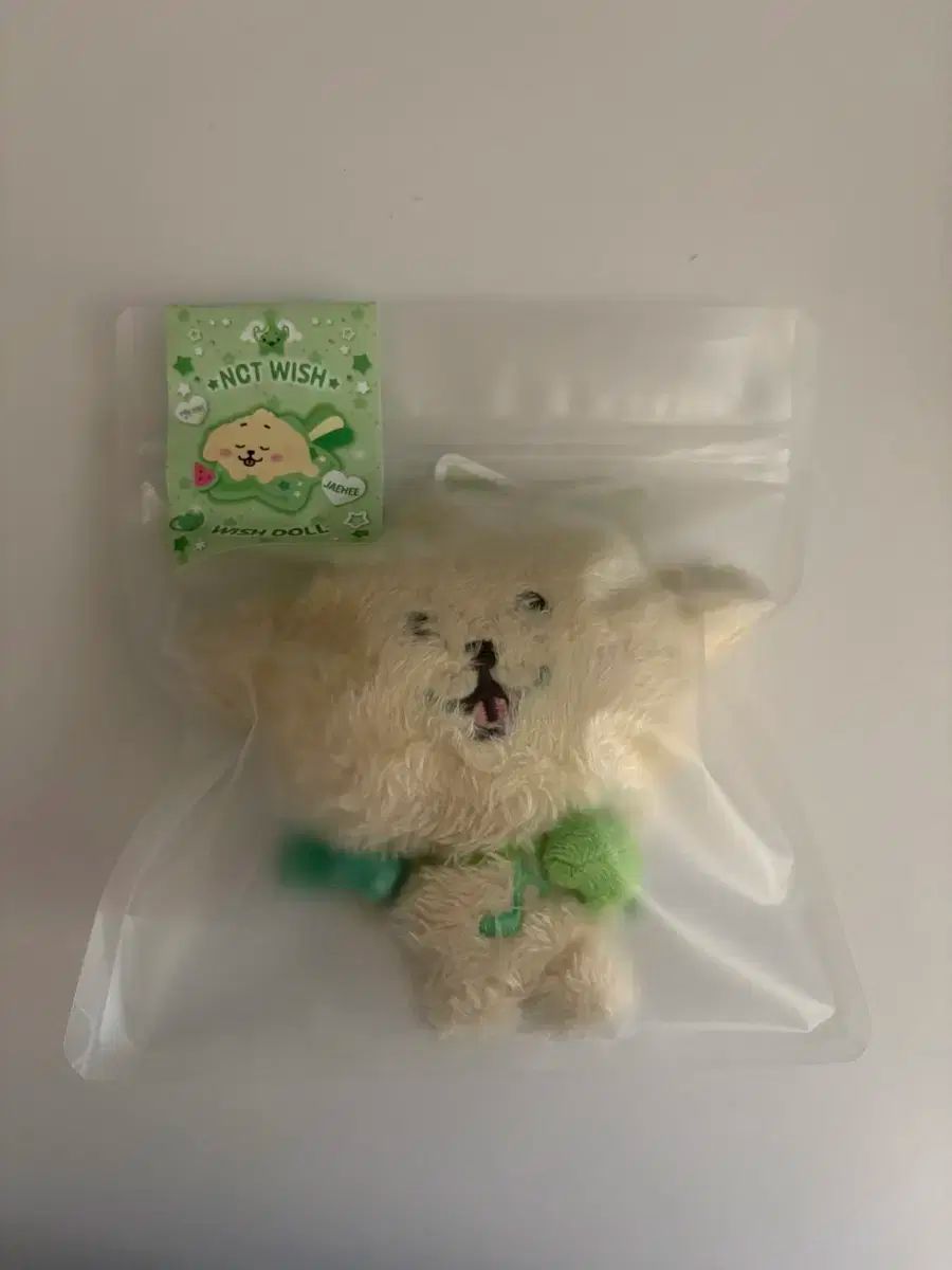 NCT エヌシーティー WIND AND WISH ジェヒ 댕ツリーバー ステディ ウィッシュドール