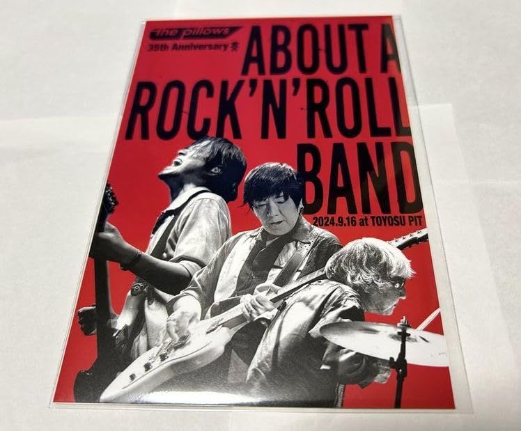 the pillows (ザ ピロウズ) the pillows 35th Anniversary”ABOUT A