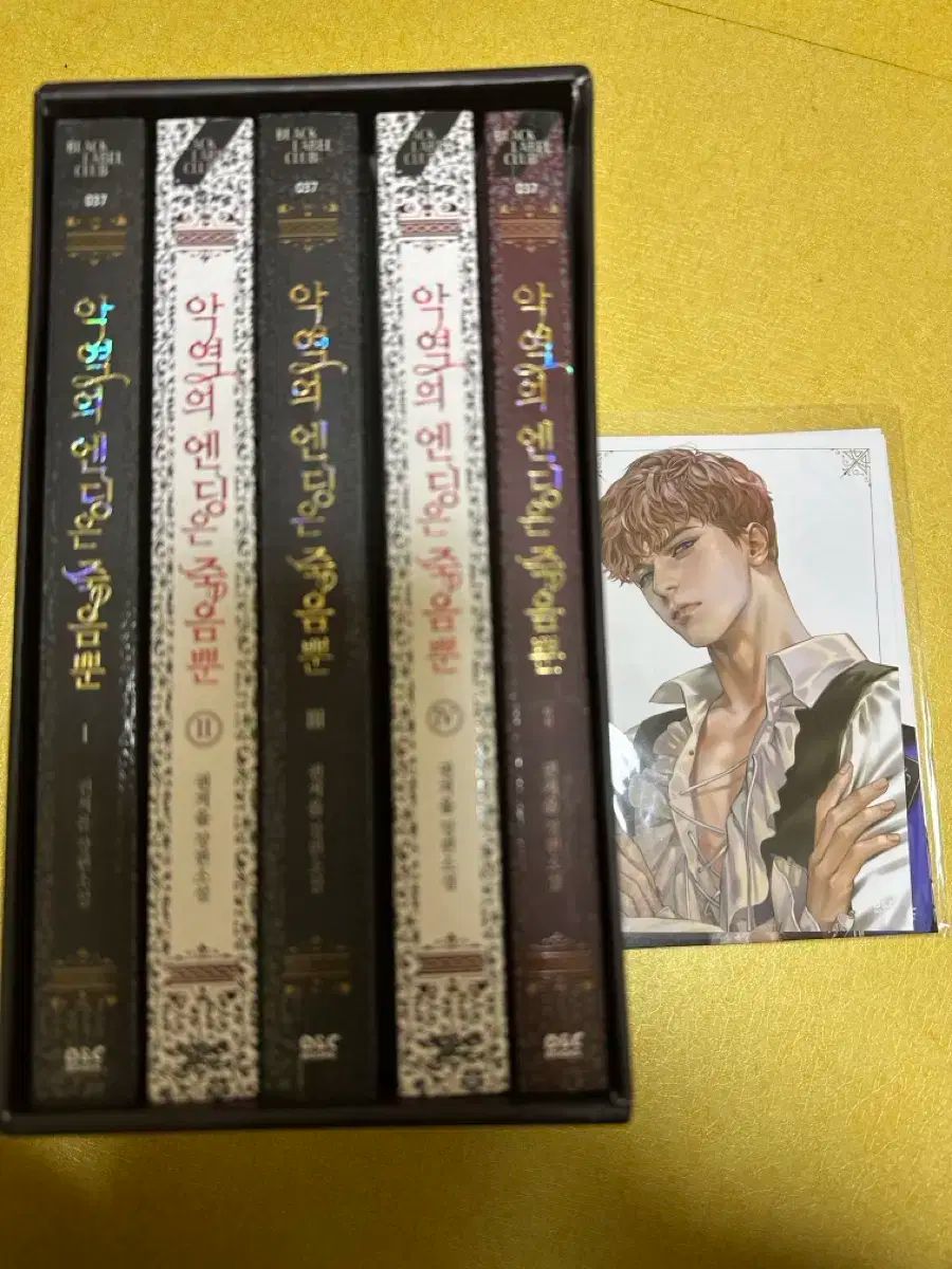 悪役のエンディングは死のみ 小説 ボックス